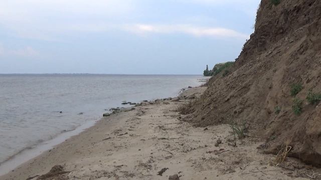 Октопус помог археологам на Водянке