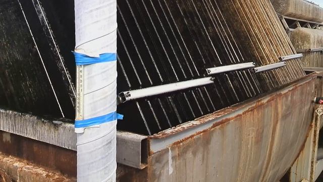 Система биологической очистки воды после 5 лет работы