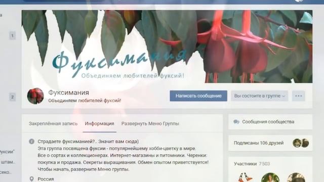Фуксии: что нужно для цветения смотреть онлайн