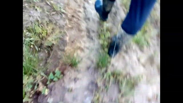 Волоколамск. Ядрово. 9.7.19. Фильтрат течет из новой свалки смотреть онлайн