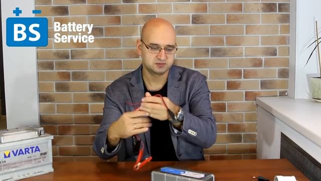 Зарядное устройство BATTERY SERVICE PL-C010P смотреть онлайн