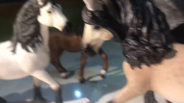 Я решыла снять серял ) : серял шляйх табун царства смотреть онлайн