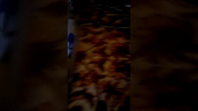 моя кормушка для птиц смотреть онлайн