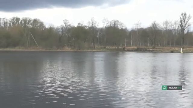 В Вышнем Волочке прошли соревнования по гребле на байдарках и каноэ смотреть онлайн