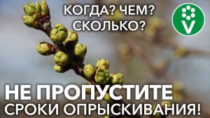ЧЕМ ОПРЫСКАТЬ САД ВЕСНОЙ? Самая первая обработка и подкормка плодового сада!