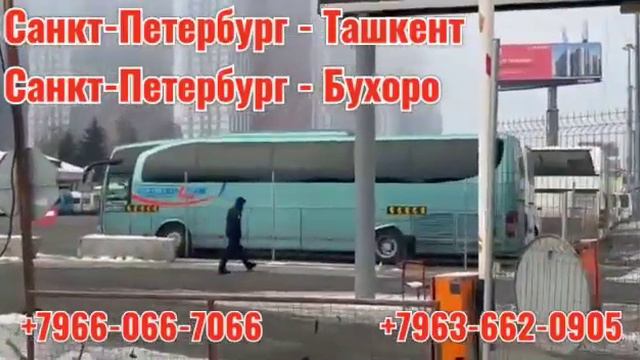 МОСКВА ТАШКЕНТ АВТОБУС 6000ДАН +79680203131 #мусофирлар #мигранты #россия #узбекистан #такси