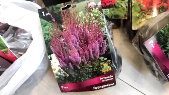 ? ? МОЯ ГРАНДИОЗНАЯ ЗАКУПКА ЦВЕТОВ / СОШЛА С УМА !? ? НО ВСЕ ТАКОЕ КРАСИВОЕ ? смотреть онлайн