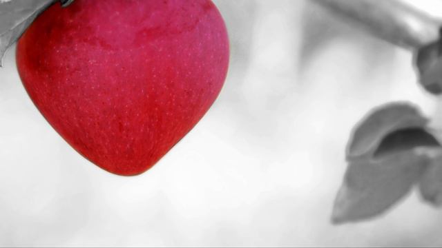 Learn German with Rammstein - Keine Lust: English translation and meaning of the lyrics explained смотреть онлайн