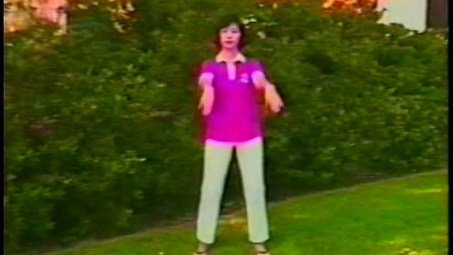 Chinese Chi Kung 18 Styles - 6 смотреть онлайн