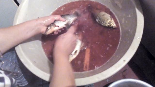 Чистка карасиков столовой ложкой. смотреть онлайн