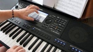 Синтезатор Yamaha PSR-SX900 / Тембры - 9 часть / Тембр БАСЫ