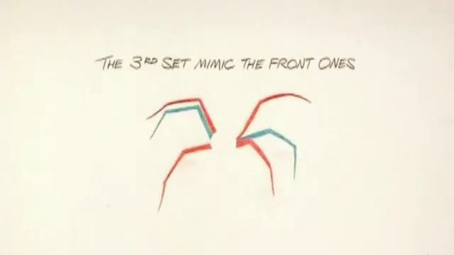 How To Animate A Walking Spider смотреть онлайн