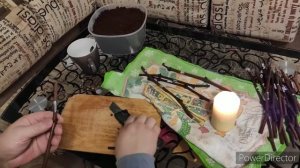 Проращивание, укоренение черенков винограда в кокосовом субстрате.