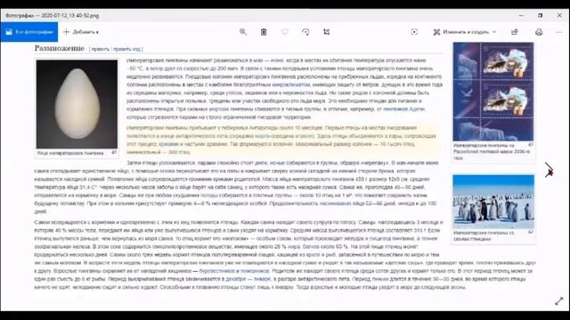 ТАЙНА АНТАРКТИДЫ !!! ГДЕ ЗИМУЮТ ПИНГВИНЫ, ЗА ПОРЕБРИКОМ?! смотреть онлайн