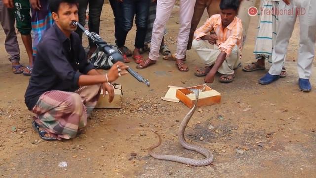 (ТОП 5) Мифы и заблуждения смотреть онлайн