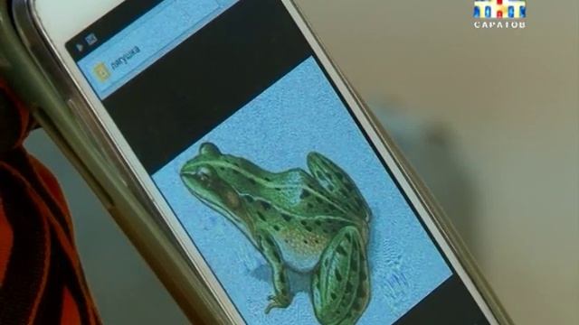 Бодимодификации. смотреть онлайн