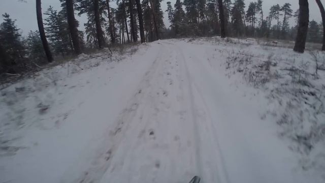 Покатушка в зимний лес или как замучить Рому (1080р 60fps) смотреть онлайн
