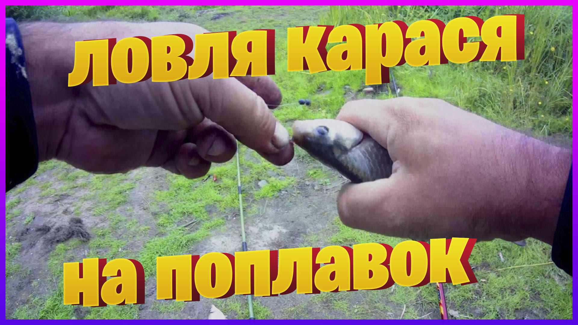 Рыбалка на озере. Ловля карася на поплавок смотреть онлайн