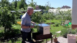 Коптим грушу и ягоды для приготовления настоек