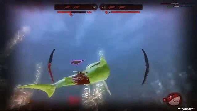 Depth - играю "без комментариев" за акулу Мако смотреть онлайн