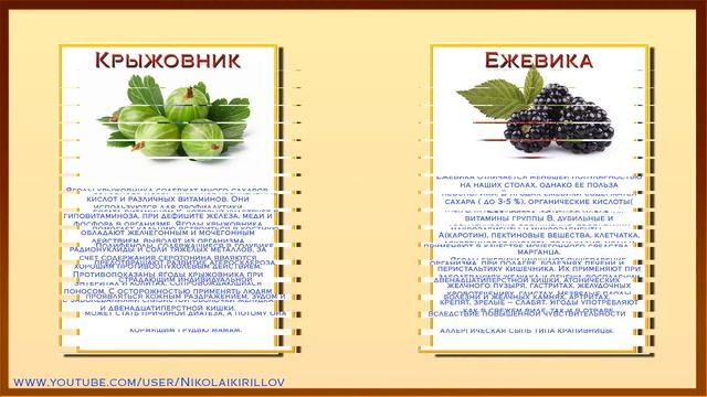 Папка передвижка летние ягоды смотреть онлайн