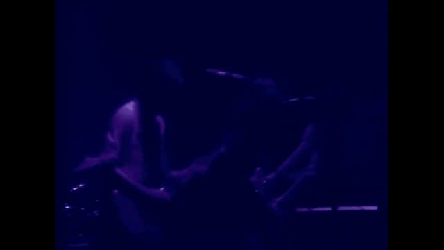 Monkberry Moon Delight (Paul McCartney - русский текст А.Баранов) смотреть онлайн