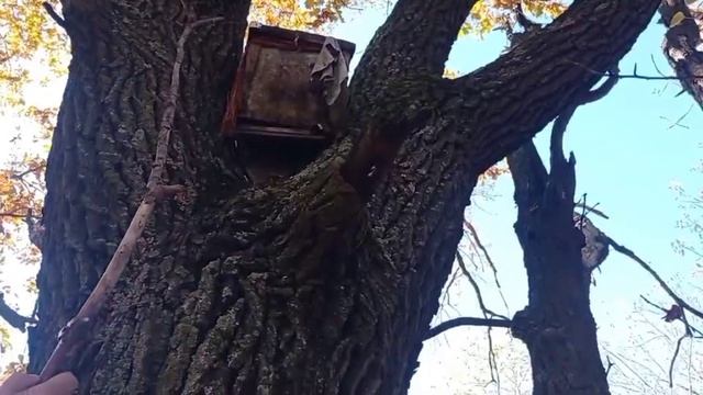 Шок!!! Что мы нашли в лесу! Загадка-ответа нет! смотреть онлайн