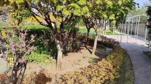 Кисловодск   санаторий Кругозор