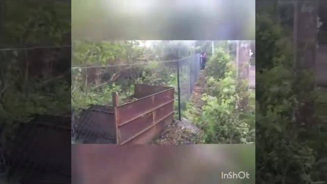 Забор из профнастила. смотреть онлайн
