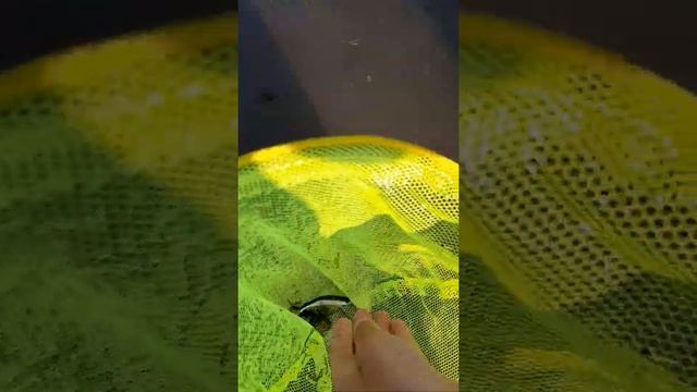 РЫБАК. КАК ЛОВИТЬ РЫБУ СОЧКОМ. ЛОВИМ РЫБУ. ДЕТИ НА РЫБАЛКЕ.??? смотреть онлайн