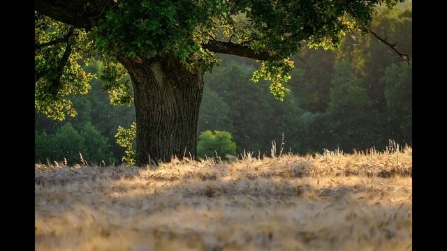 Kunya-Urgench History (Turkmenistan)