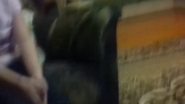Самое последнее было тушканчик!!!!😂😂😂😂 смотреть онлайн