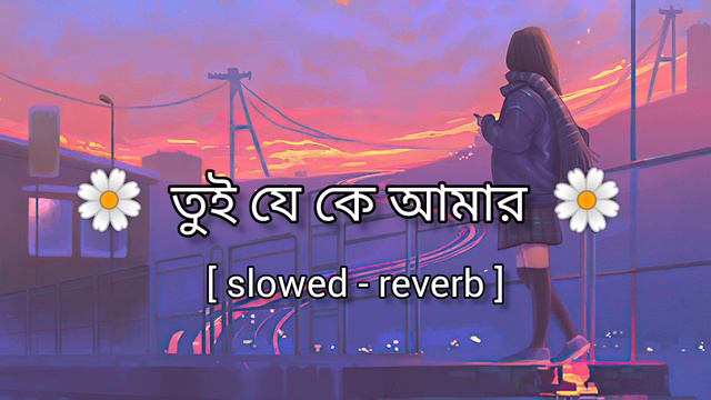 Tui Je Ke Amar Lofi | (slowed - reverb) | Avraal Sahir | Aitya Anisa | Musfiq R | Samira Khan Mahi смотреть онлайн