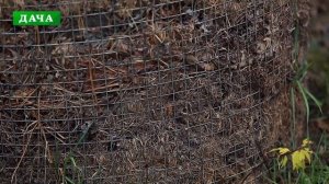 ?ЧТО ДЕЛАТЬ С ОПАВШИМИ ЛИСТЬЯМИ ? лучшие способы использования листьев в саду