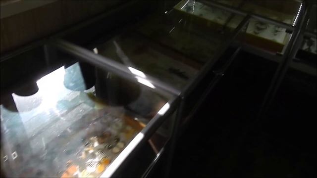 Парк птиц "Воробьи". Классное место в Калужской области! смотреть онлайн