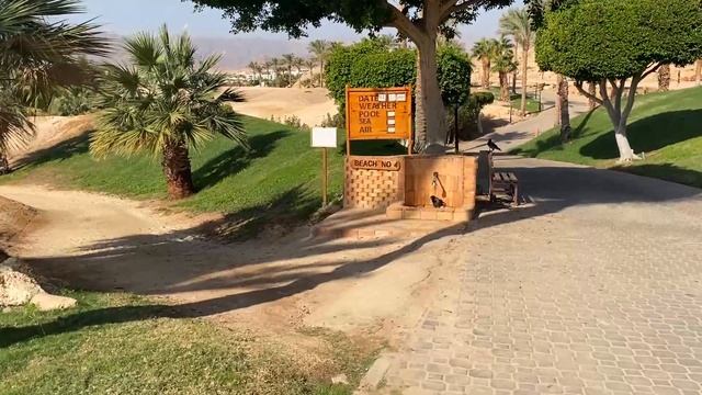 Обзор отеля MOVENPICK / ЛУЧШИЙ ОТЕЛЬ В ЕГИПТЕ Movenpick Resort Sharm El Sheik Naama Bay / Мовенпик смотреть онлайн