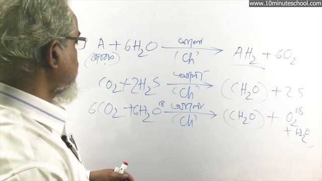 কোষ বিভাজন (৪র্থ অংশ) | জীববিজ্ঞান ১ম পত্র (Biology 1st Paper) | Mizanur Rahman смотреть онлайн