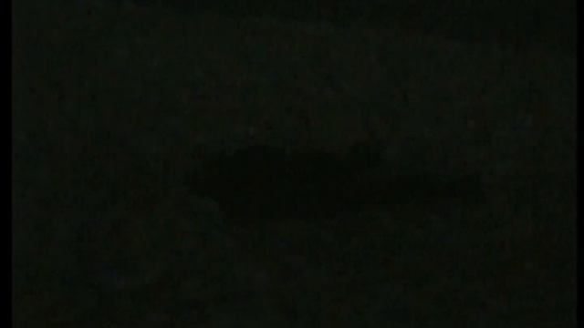 Прогулка с Матвеем и Рикой и видеокамерой Sony Handycam CCD-TR670E (Video 8) (26.11.2023) смотреть онлайн