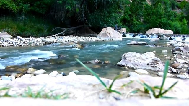 №6 СЕАНСЫ ИСЦЕЛЯЮЩЕЙ МУЗЫКИ/ПОЧКИ/ПОЛОВАЯ СИСТЕМА смотреть онлайн