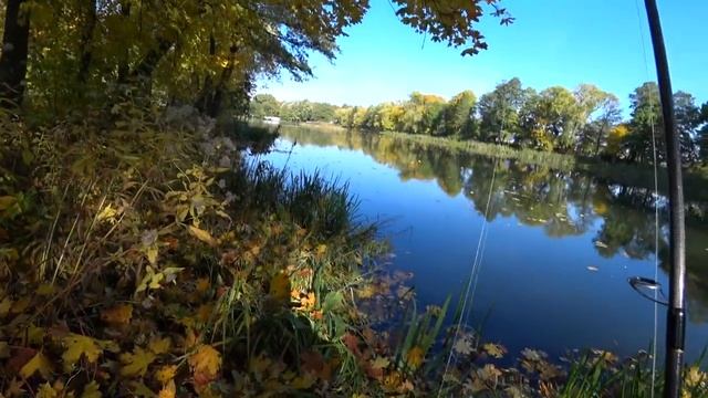 ЛОВЛЯ ЩУКИ ОСЕНЬЮ, ВОЗЛЕ СТАРИННОЙ УСАДЬБЫ! РЫБАЛКА В БЕЛАРУСИ! смотреть онлайн