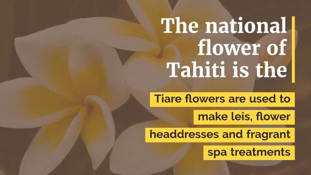 The 2000 Year History Of Tiare Tahiti