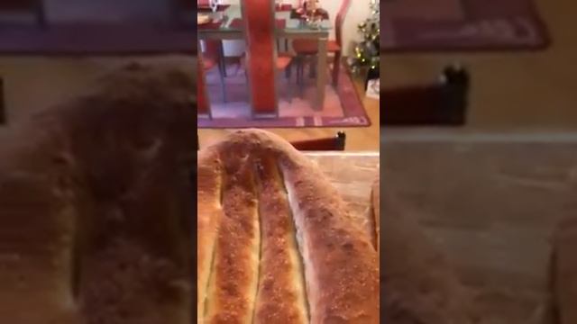 чихуахуа Бусинка просит смотреть онлайн