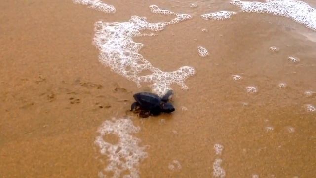 Греция, Крит, Ката Сталос,, 29 сентября 2014 года смотреть онлайн