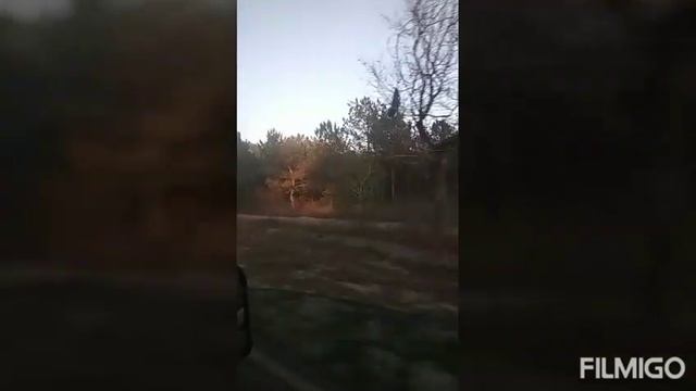 Дунай. Чёрное Море.Отдых с семьёй на рыбалке смотреть онлайн