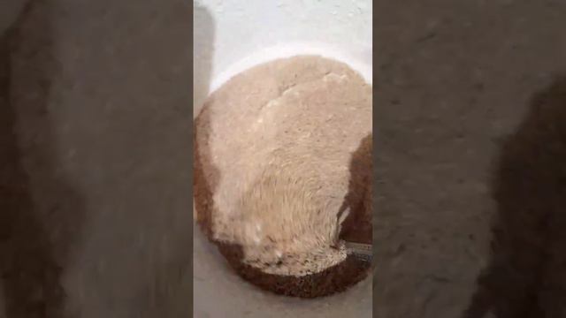 Ответчик-фильм