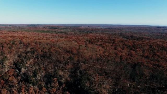 Многодетная вдова на последние деньги накормила бродяжку и приютила на ночь. А едва утром раздался смотреть онлайн