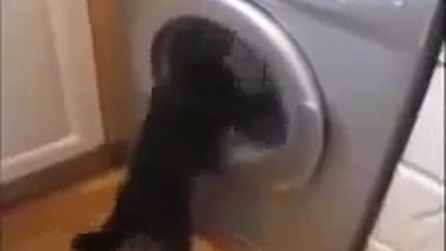 очень смешное видео 3 смотреть онлайн