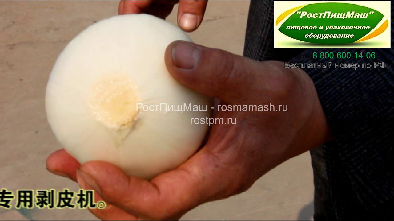 Машина для очистки лука от шелухи от РостПищМаш смотреть онлайн