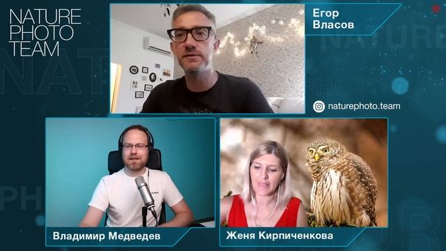 ФОТООХОТА — съёмка птиц в городе