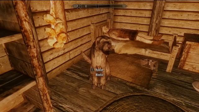 Skyrim Vídeo Consejo - Perro Meeko